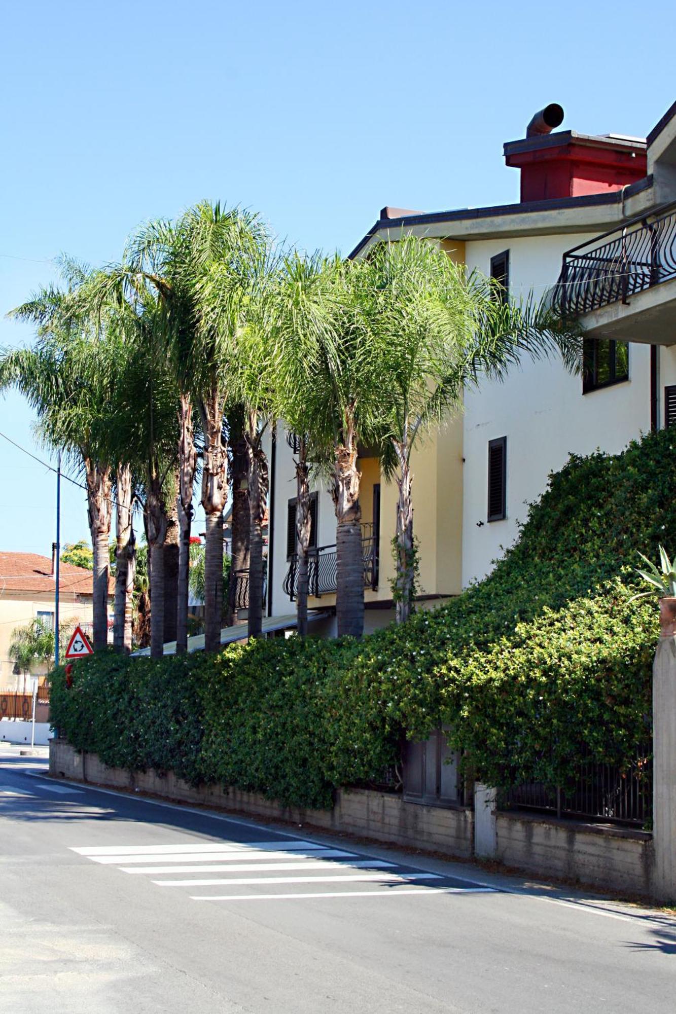 Hotel Il Ceppo Agropoli Exterior photo